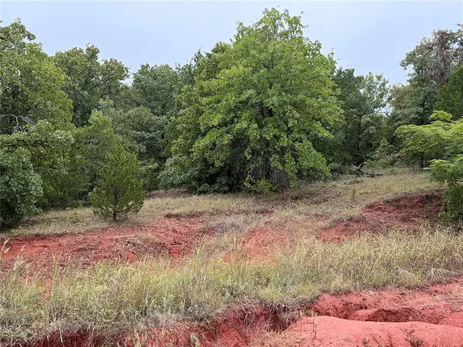 37031 Stone Ridge Drive, Tecumseh, OK 74873 - #3