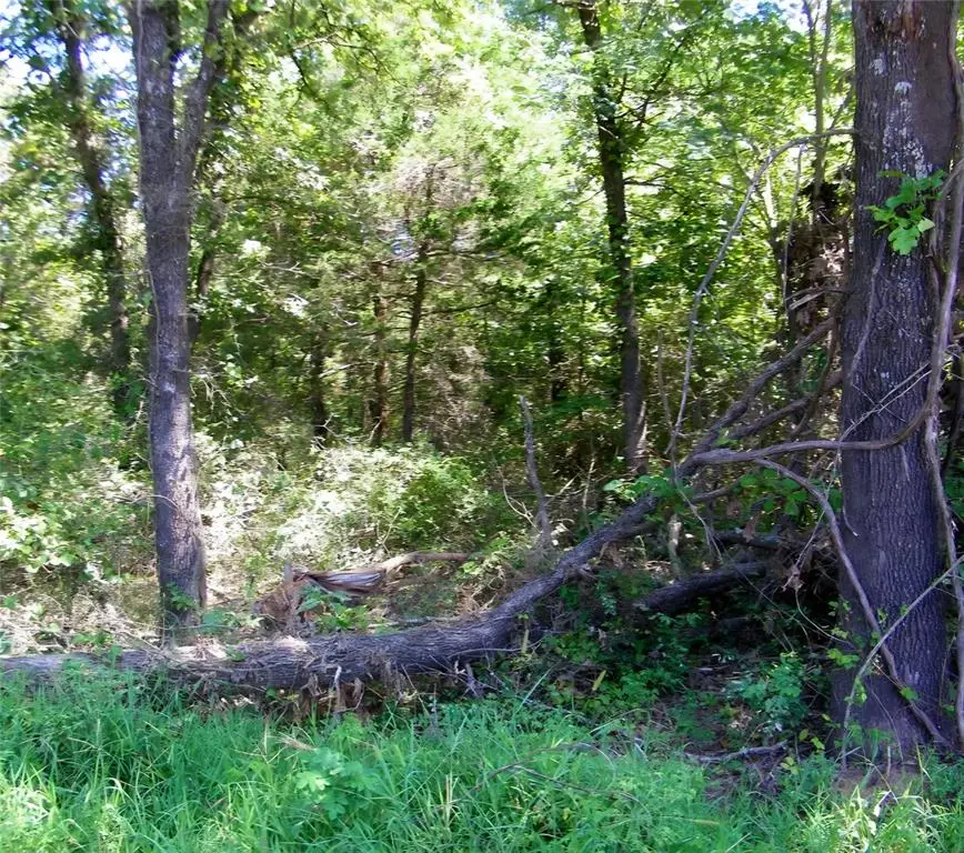 000 N Kelly Avenue, Oklahoma City, OK 73131 - #3