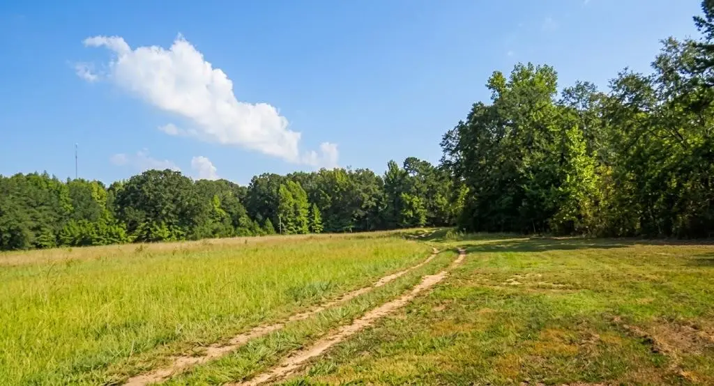 739 Bethel Cemetery Road, Broken Bow, OK 74728 - #1