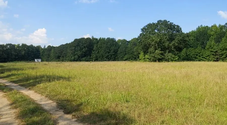 739 Bethel Cemetery Road, Broken Bow, OK 74728 - #3