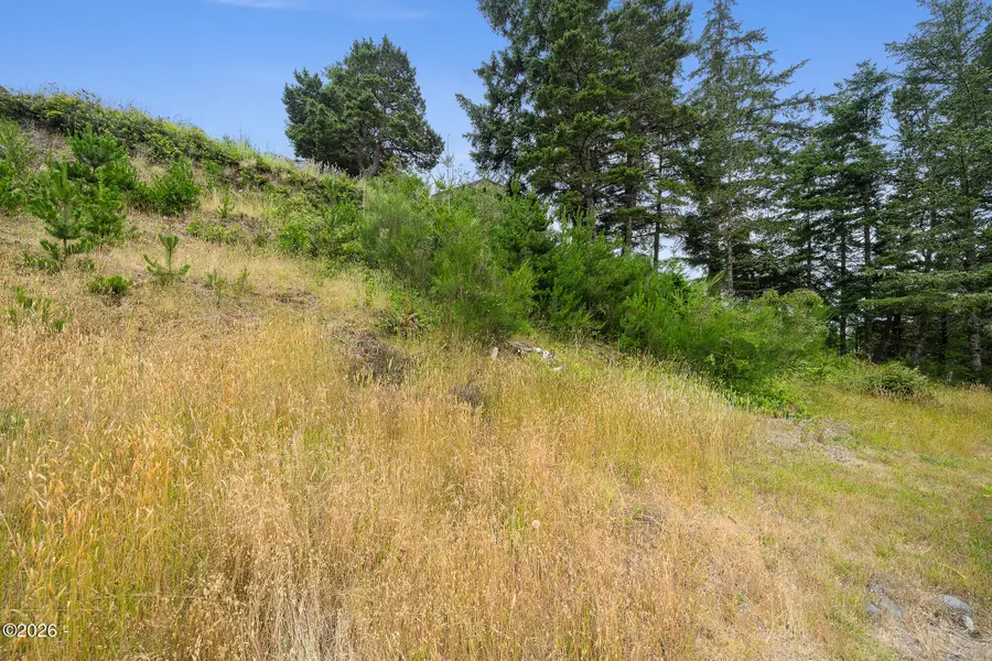 TL #4315 Hillsdale Street, Oceanside, OR 97141 - #2
