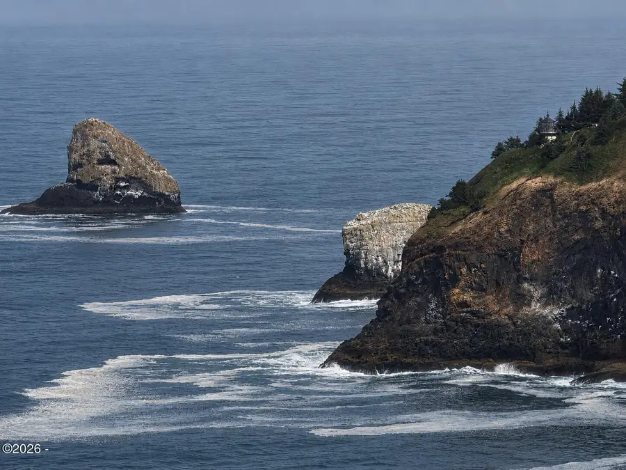 2100 Maxwell Mountain, Oceanside, OR 97134 - #3