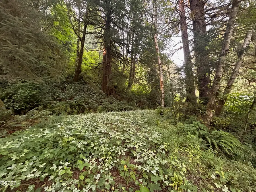 1300 W Point, Nehalem, OR 97131 - #3