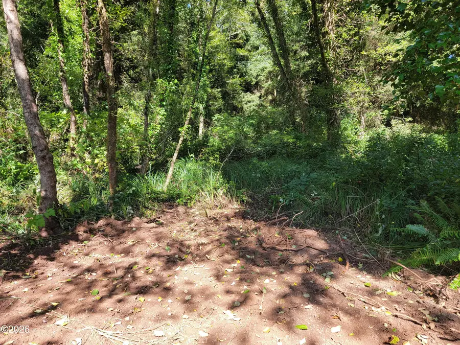 TL 1800 NE Braly, Depoe Bay, OR 97341 - #3