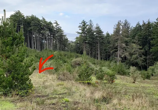 Lt 4 TL238 Manzanita, Oceanside, OR 97134