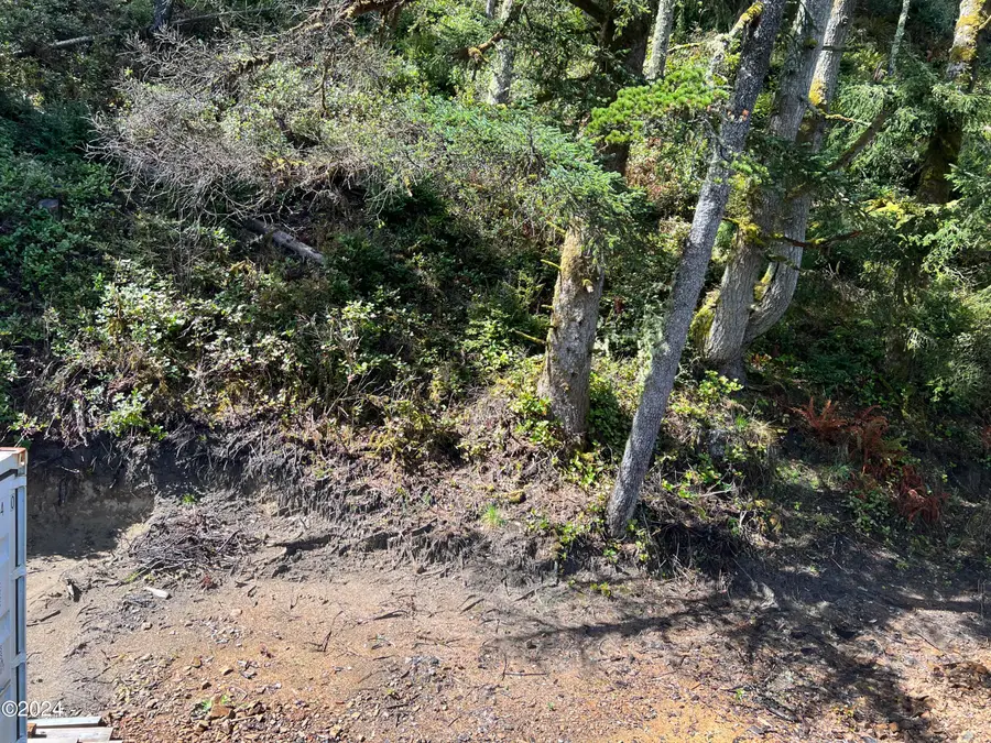 TL 5302 Park, Pacific City, OR 97135 - #3