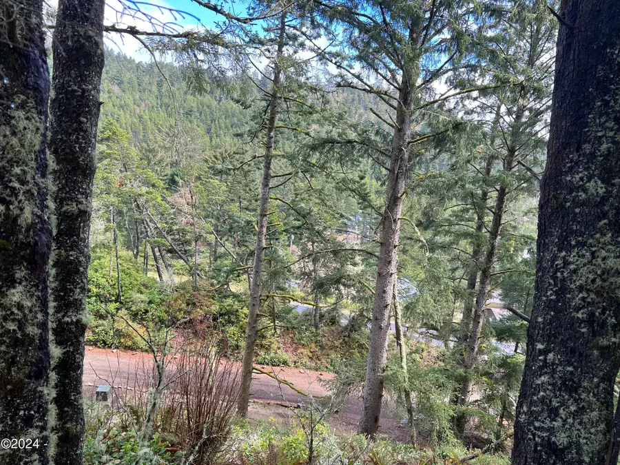 TL 5301 Park, Pacific City, OR 97135 - #3