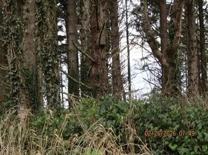 2330 S Hwy 101, Depoe Bay, OR 97341 - #2