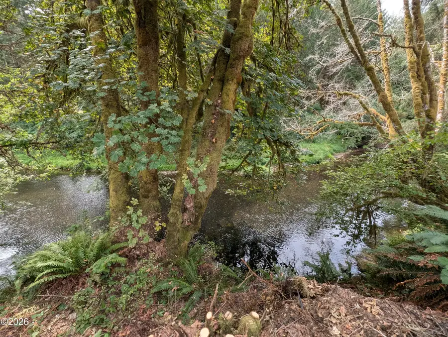 109 E Yates, Alsea, OR 97324 - #3