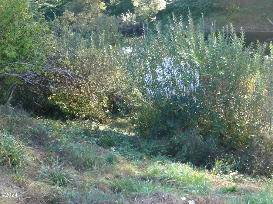 TL 100 SW River, Siletz, OR 97380 - Image #2