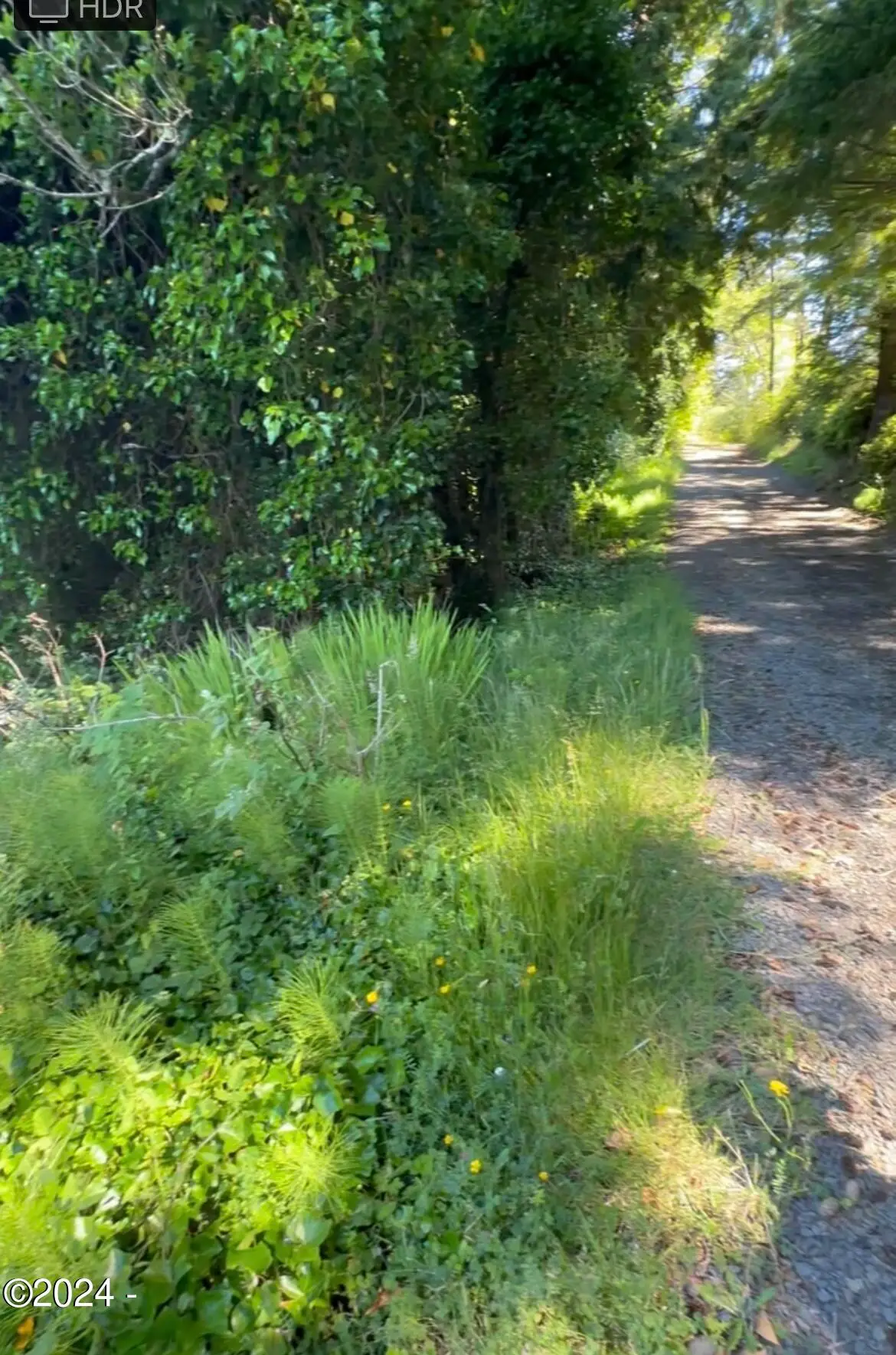 2700 blk SW Dune, Lincoln City, OR 97367 - Image #1