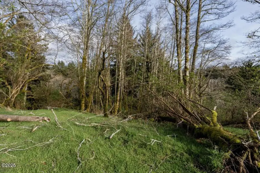 3045 Elderberry, Otis, OR 97368 - Image #2