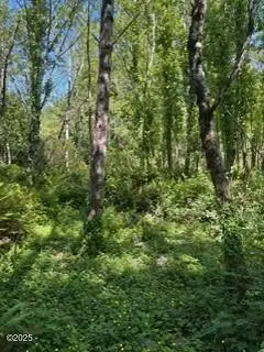 TL2100 NE Nevada, San Marine, OR 97394 - Image #3