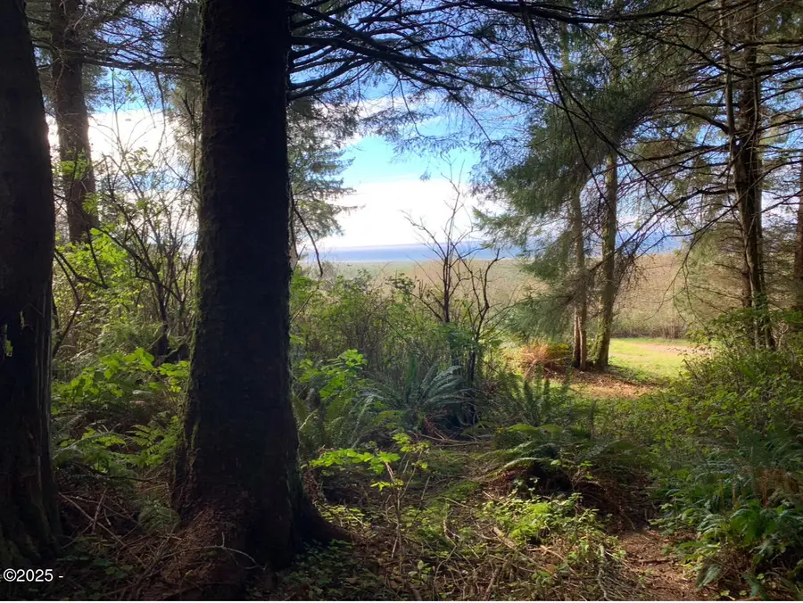 Lot 13 Brooten Mountain, Pacific City, OR 97135 - Image #2