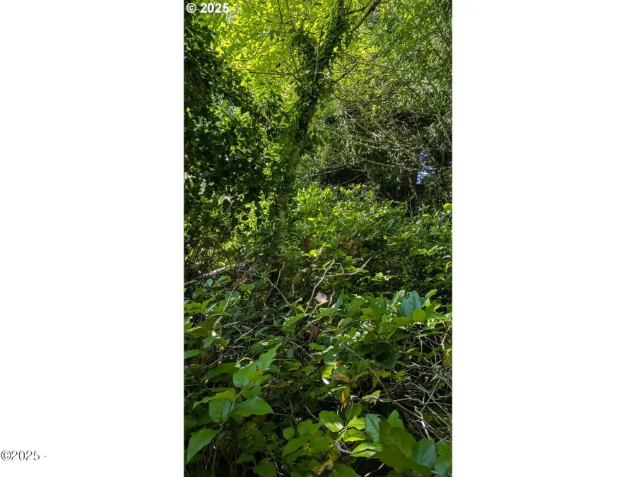 0 Rebel, Waldport, OR 97394 - #2