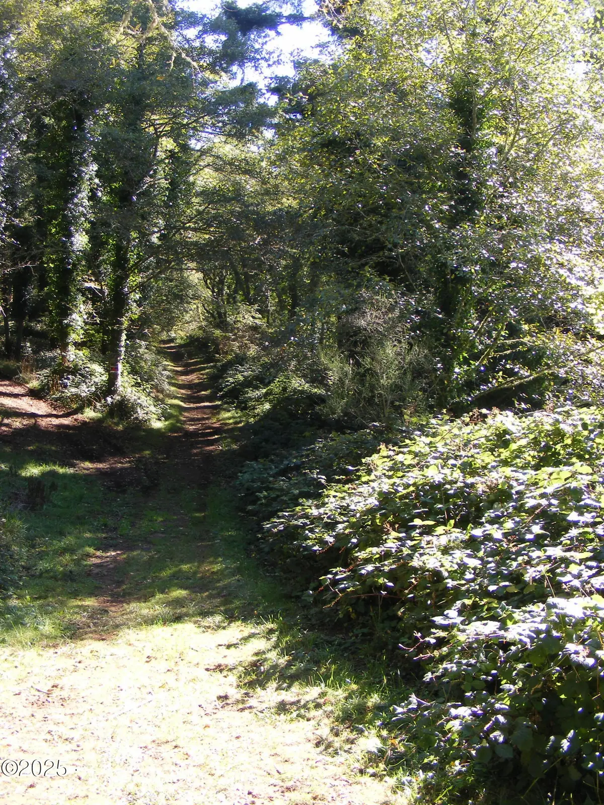 1000 NE Norman, Newport, OR 97365 - Image #1