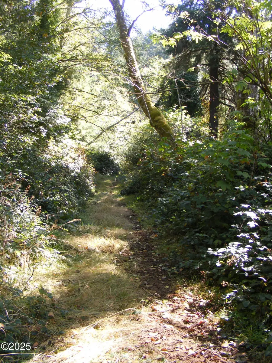 1000 NE Norman, Newport, OR 97365 - Image #2