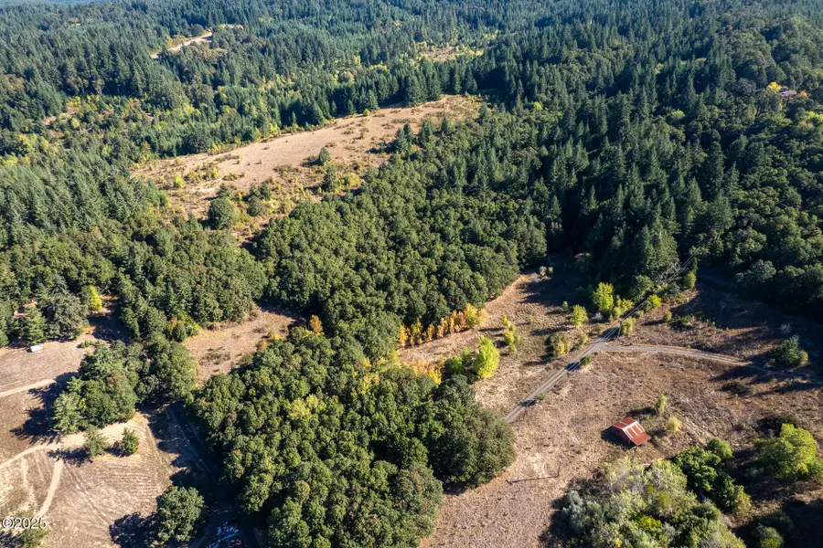 Lot 9 Moriah, Sheridan, OR 97378 - Image #2