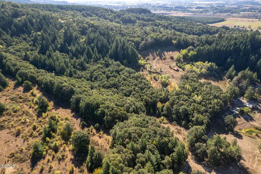 Lot 9 Moriah, Sheridan, OR 97378 - Image #3