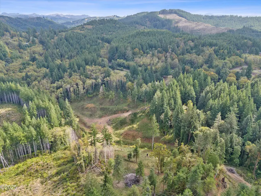 VL Pioneer Mountain, Toledo, OR 97391 - Image #3