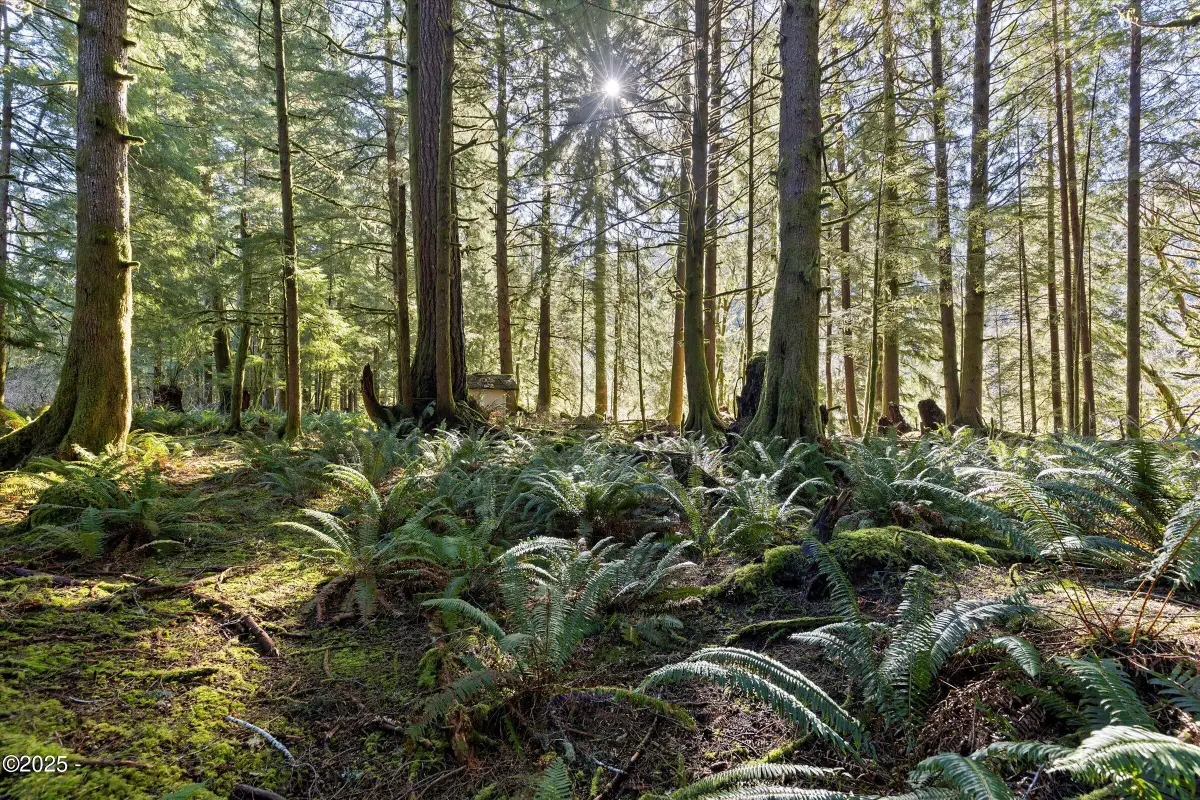 TL 2700 N Stockton Road, Otis, OR 97368 - Image #1