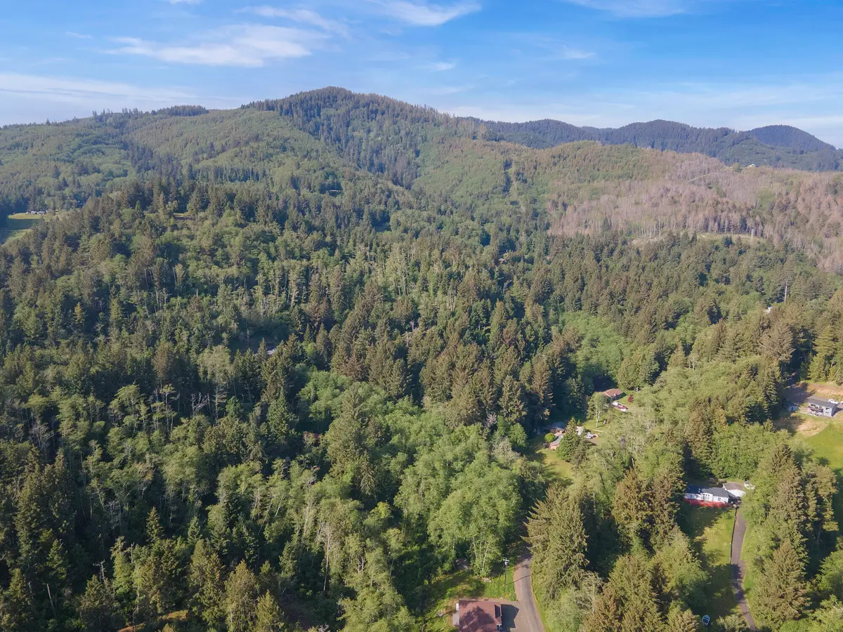 VL Willowbrook Dr (tl # 2900), Tillamook, OR 97141 - Image #1