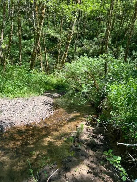 V/L Foss Road, Nehalem, OR 97131