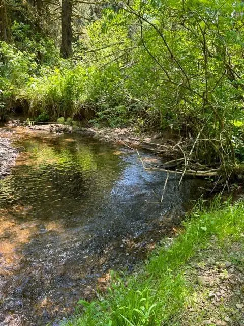 V/L Foss Road, Nehalem, OR 97131 - Image #2