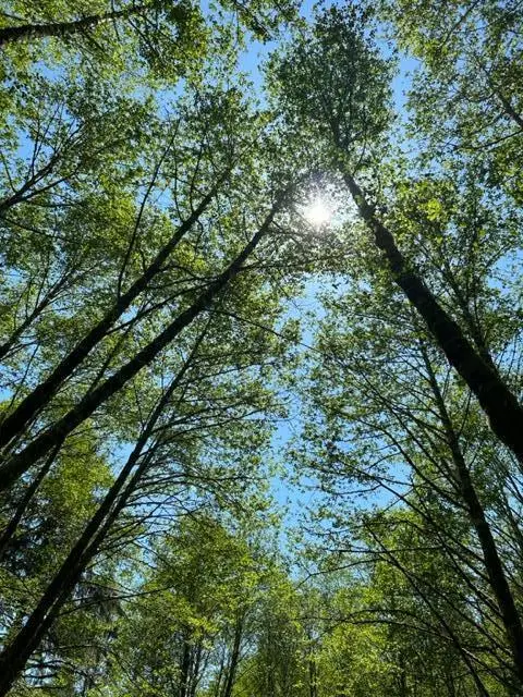 V/L Foss Road, Nehalem, OR 97131 - Image #3