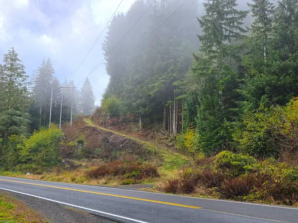 800&900 Miami Foley, Nehalem, OR 97131