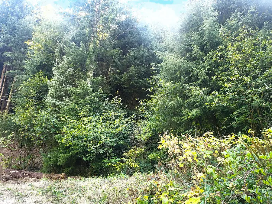 800&900 Miami Foley, Nehalem, OR 97131 - Image #2