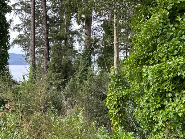 TL#04003 11th, Bay City, OR 97107