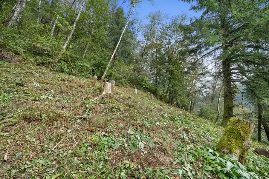 Tl #00500 Kilchis River, Tillamook, OR 97141 - Image #2