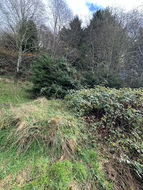 Grant, Rockaway Beach, OR 97136