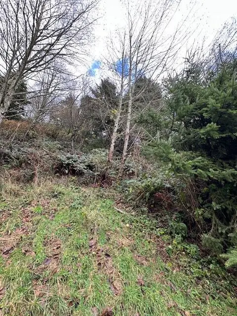 Grant, Rockaway Beach, OR 97136 - Image #2