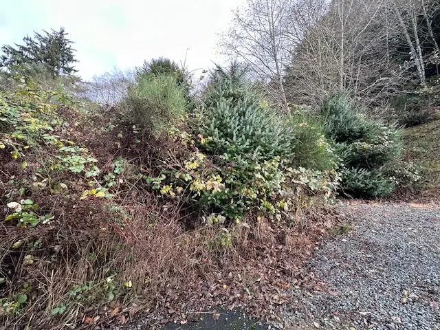 Grant, Rockaway Beach, OR 97136 - Image #3