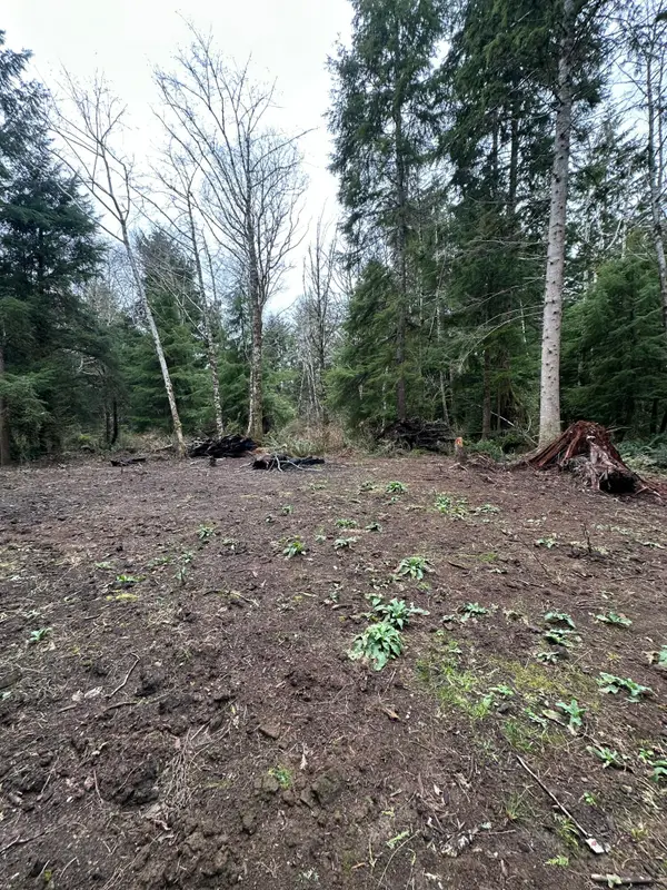 TL #07300 Necarney, Rockaway Beach, OR 97136