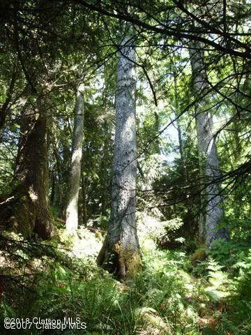 Lots 14&15 Birch, Cannon Beach, OR 97110