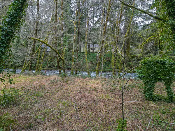 TL 400 N Slick Rock Creek, Otis, OR 97368