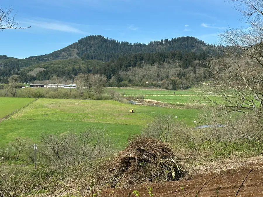 TL#00200 Highway 101 S, Cloverdale, OR 97112 - Image #3