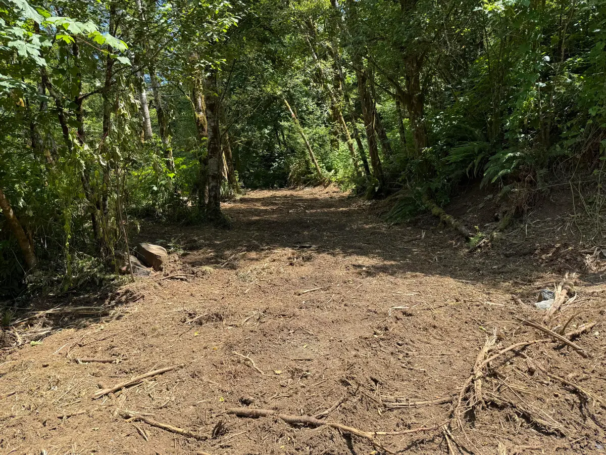 TL# 02100 Wilson River, Tillamook, OR 97141 - Image #1