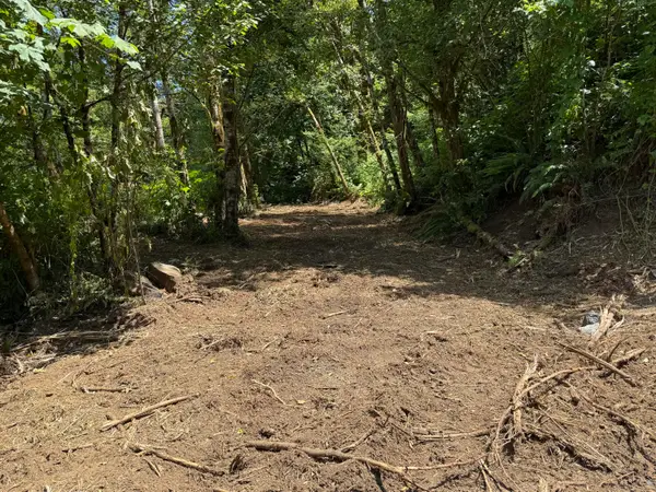 TL# 02100 Wilson River, Tillamook, OR 97141