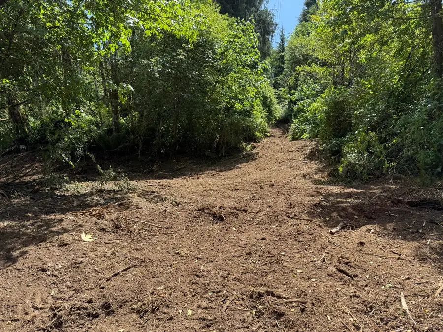 TL# 02100 Wilson River, Tillamook, OR 97141 - Image #2