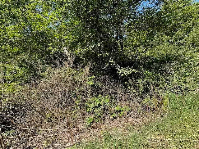 N Marine, Rockaway Beach, OR 97136 - Image #3