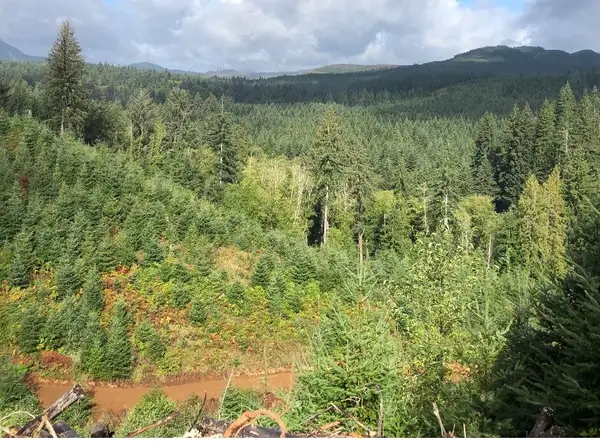 80788 Hamlet, Seaside, OR 97138