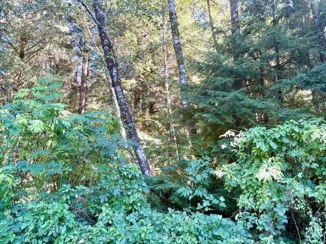 VL Lot 1 Cedar, Wheeler, OR 97147 - Image #2