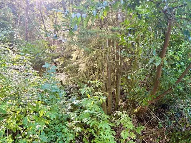 VL Lot 1 Cedar, Wheeler, OR 97147 - Image #3