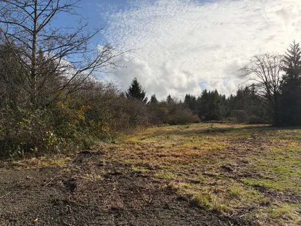 TL#2400 Alderbrook, Tillamook, OR 97141