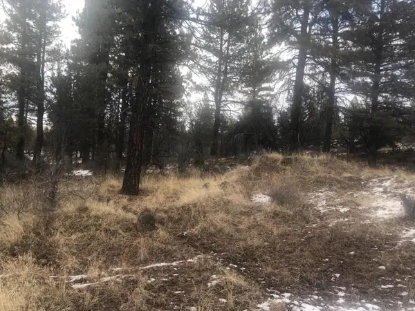 Mina Bird Drive #lot 1000, Bonanza, OR 97623