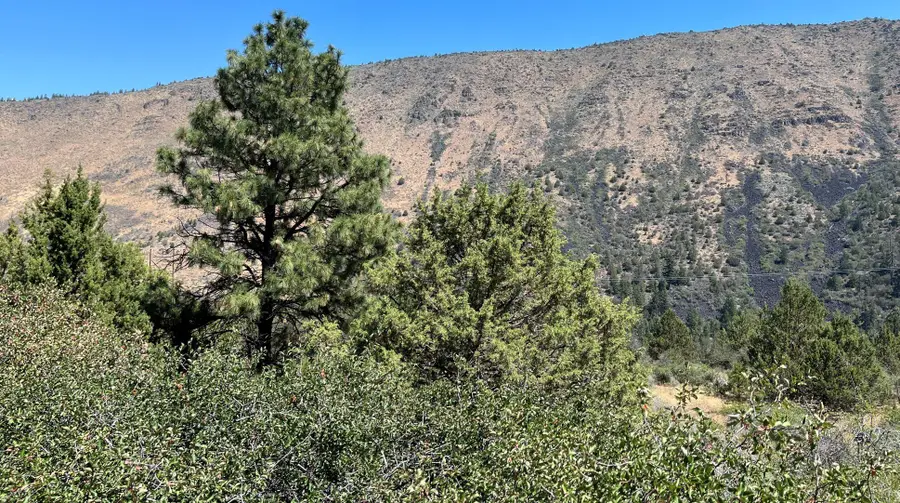 Lot 40 Peregrine Heights, Klamath Falls, OR 97601 - #3